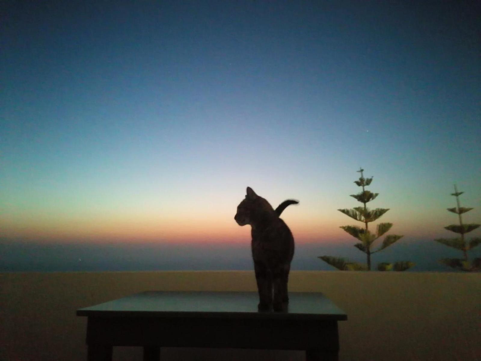 Phaos Santorini Suites Imerovígli Buitenkant foto