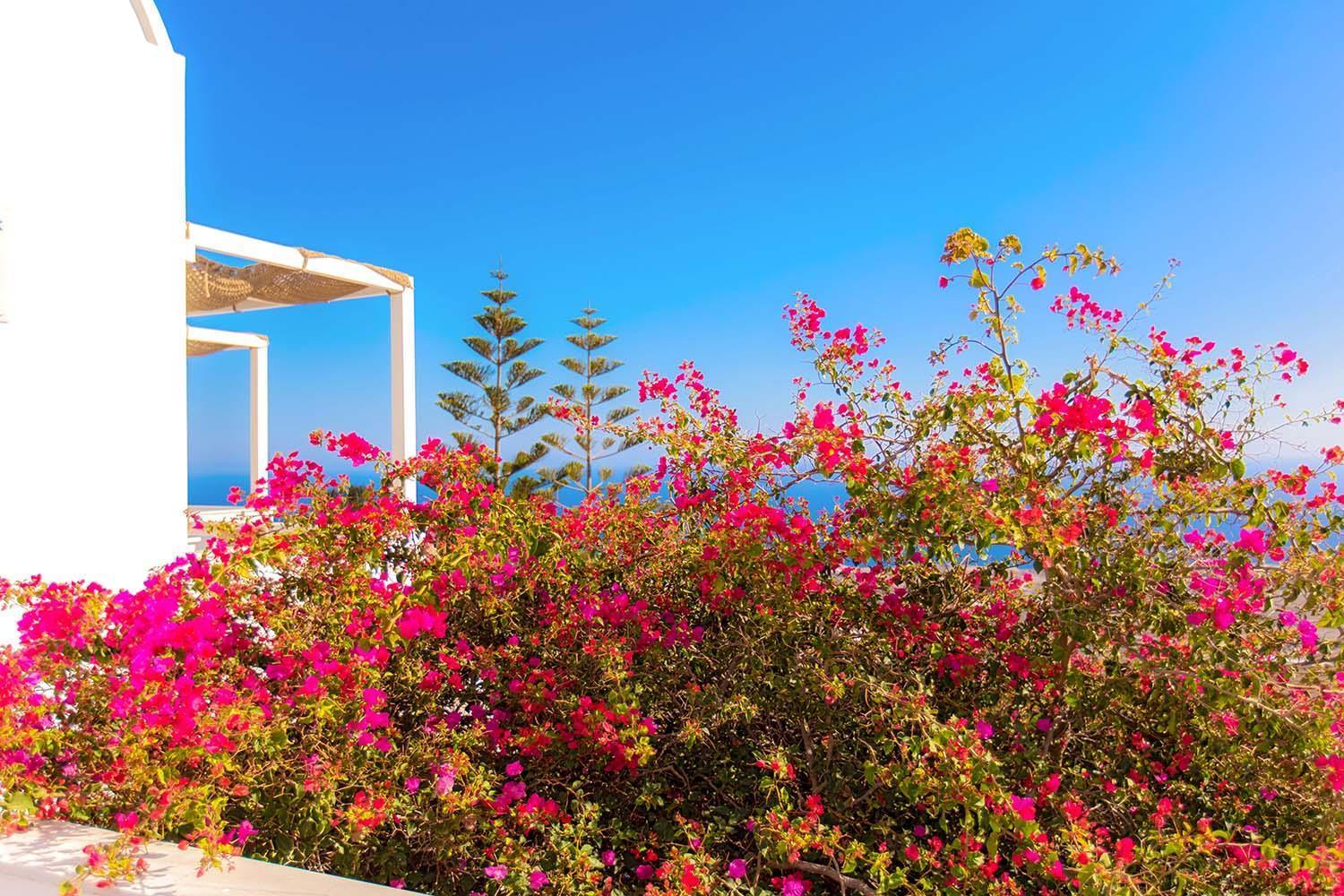 Phaos Santorini Suites Imerovígli Buitenkant foto